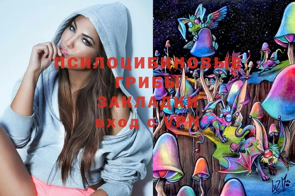 СК Протвино