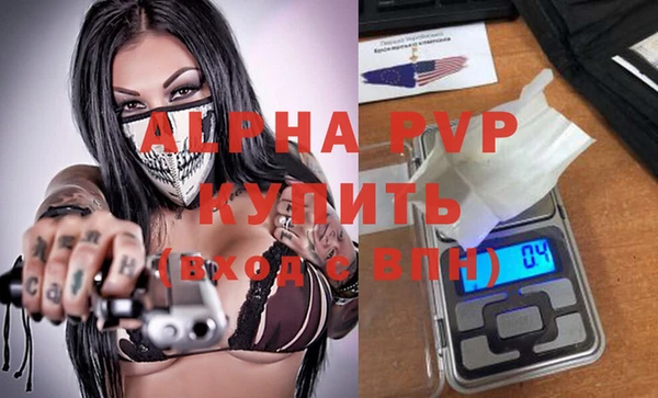 прущий лед Абаза