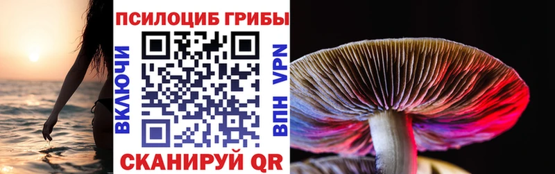 Псилоцибиновые грибы GOLDEN TEACHER  Поворино 